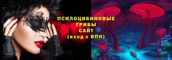 гидропоника Абаза