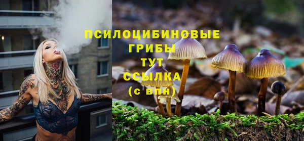 гидропоника Абаза